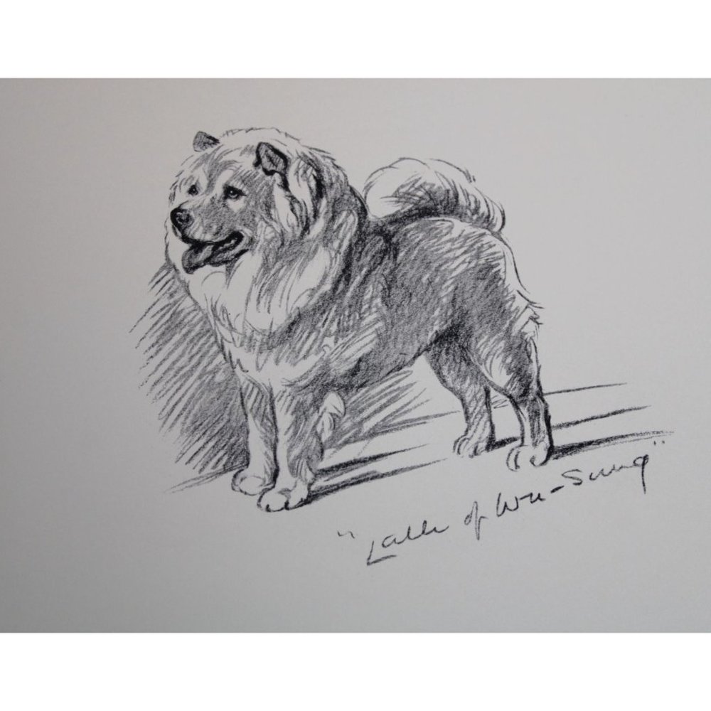 Lucy Dawson Dog Print Chow West Highland Terrier Wu Sung Timothy White 90677